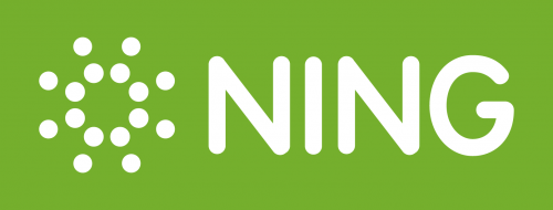 Ning.com Logo