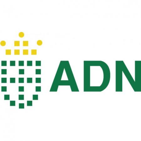 Ayuntamiento Distrito Nacional Logo