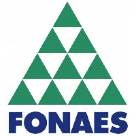 Fonaes Logo