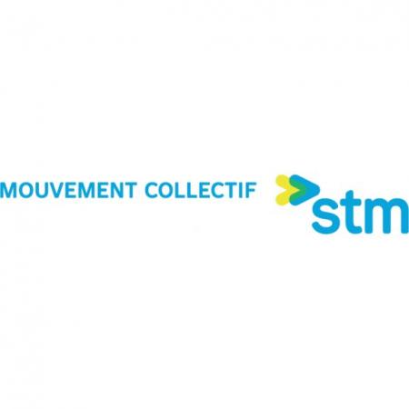 Stm Logo