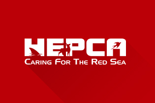 Hepca Logo