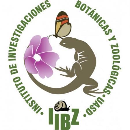 Iibz Logo