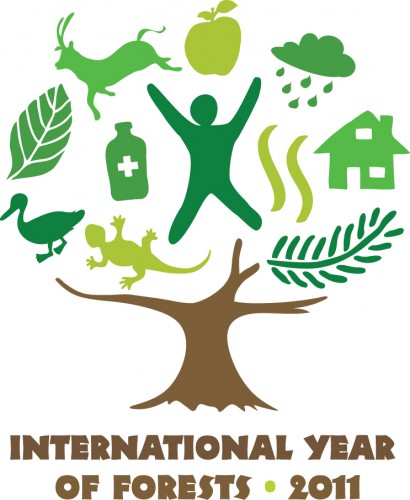 International Year Of Forests