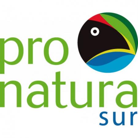 Pronatura Logo