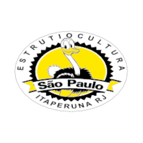 Estrutiocultura Sao Paulo Logo