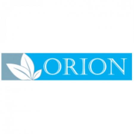 Orion Logo